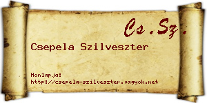Csepela Szilveszter névjegykártya